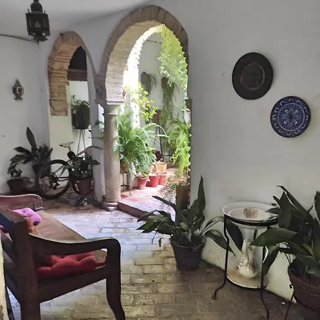 Apartamento Dama De Noche Córdoba