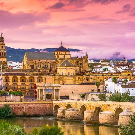 Dama De Noche * Córdoba